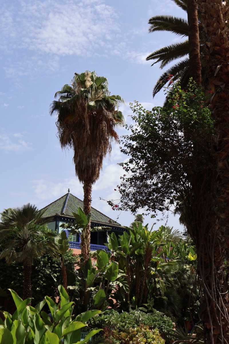 Jardin Majorelle, Marrakech